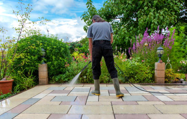 Best Fence Cleaning  in Green Valley, CA